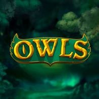 Owls thumbnail